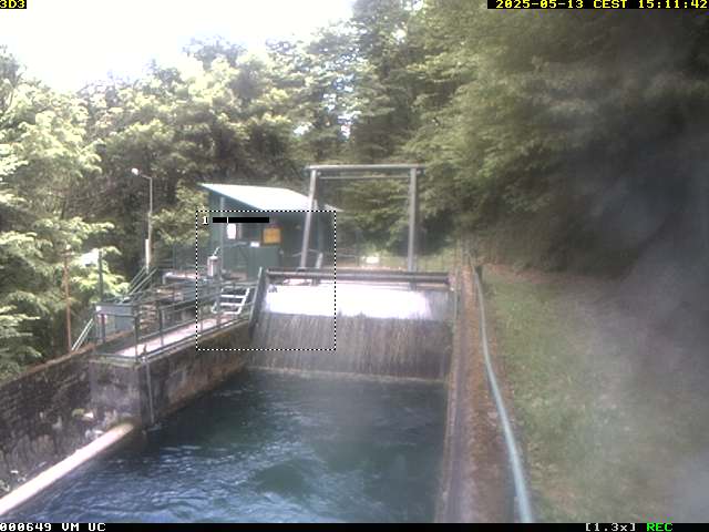 Camera Live Image